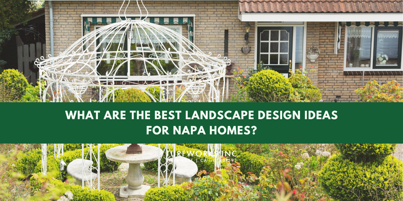 Napa landscape design by Turfworks Inc with drought-tolerant plants and outdoor living space.