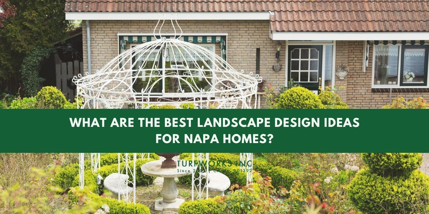 Napa landscape design by Turfworks Inc with drought-tolerant plants and outdoor living space.