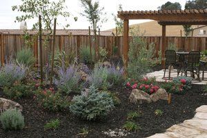 Well-maintained garden with a pergola | Turfworks, Inc - Landscape Design in Vacaville CA
