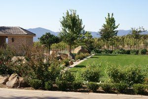 A large lawn with trees and bushes designed by Turfworks, Inc - Your go-to landscaping company in Vacaville, CA