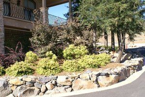 A stone wall is surrounded by trees and bushes in front of a house | landscape design in Davis, CA