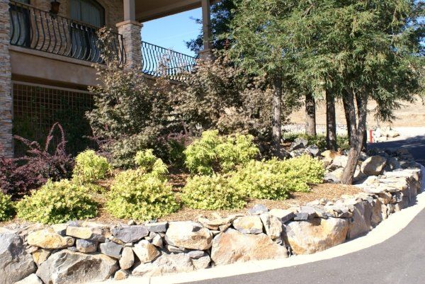 A stone wall is surrounded by trees and bushes in front of a house | landscape design in Davis, CA