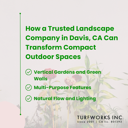 “How a Trusted Landscape Company in Davis, CA Can Transform Compact Outdoor Spaces” with checklist of design ideas