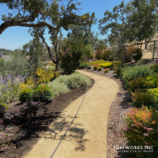 A serene garden path with lush, drought-tolerant plants by Turfworks Inc, showcasing landscape design in Vacaville, CA.