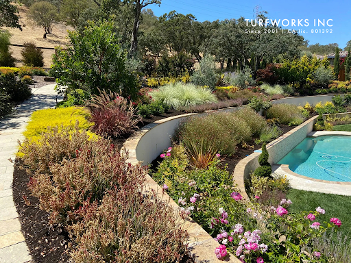 Landscaped garden with retaining walls and a pool. Various plants in bloom, with a grassy background.
