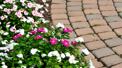 A brick walkway with pink and white flowers on the side