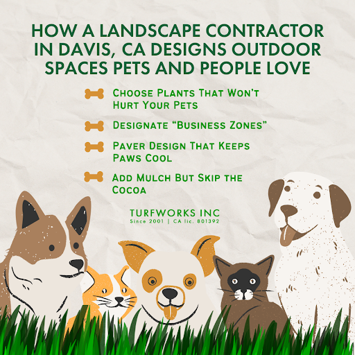 Pet-friendly landscaping tips from a landscape contractor in Davis, CA, with cartoon pets and Turfworks Inc branding.