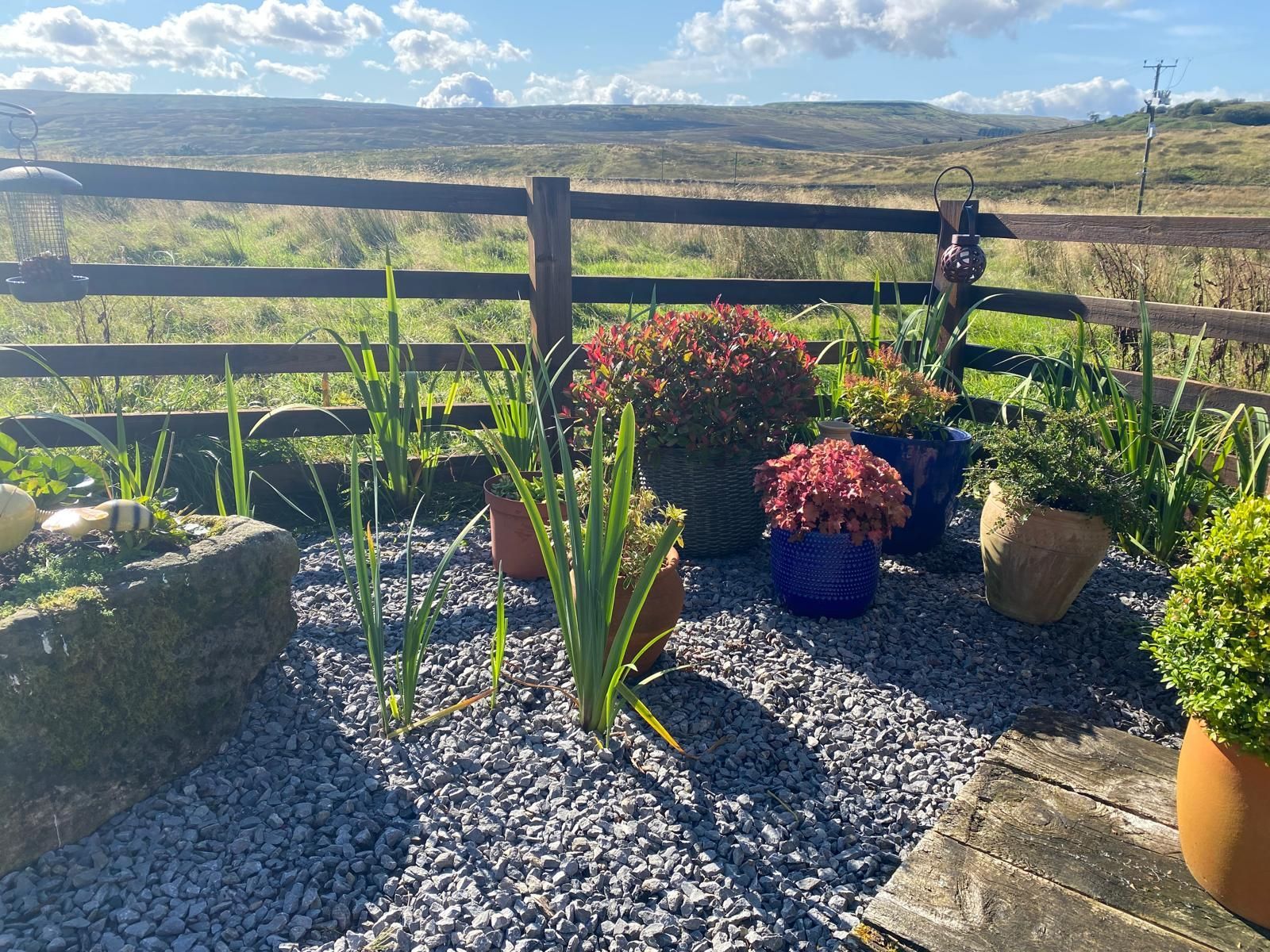 Plants and pots at Blades Cottage