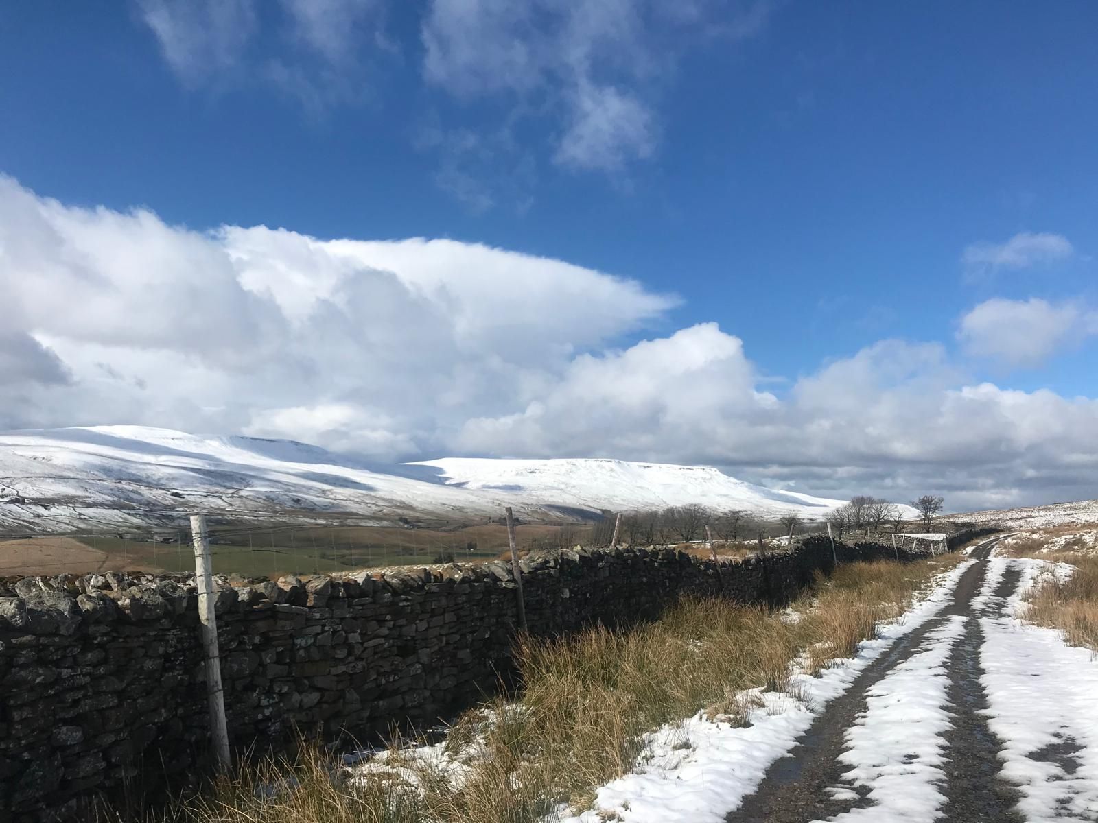 Track in winter at Blades Cottage