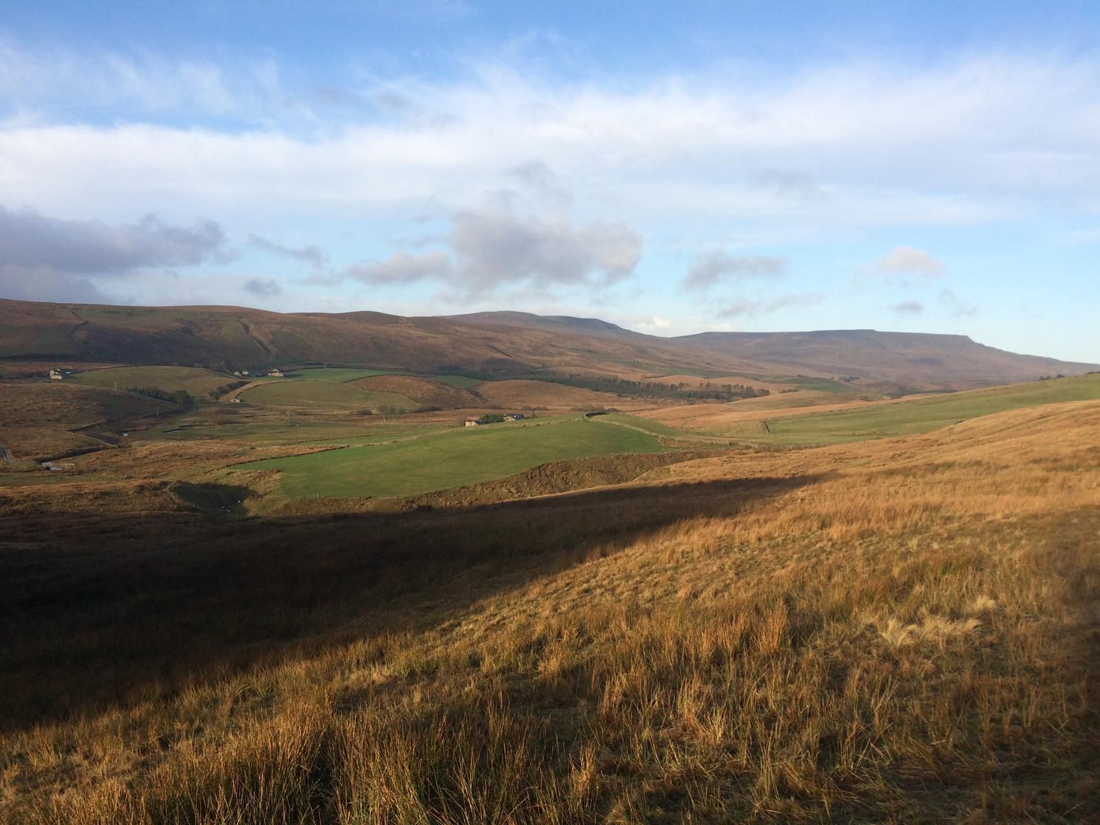 Distant Views from Blades Cottage