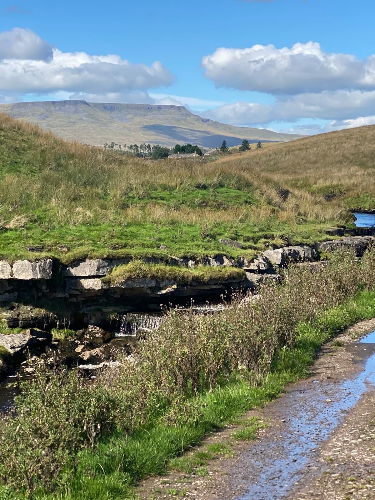 Waterfalls river Ure near to Blades Cottage
