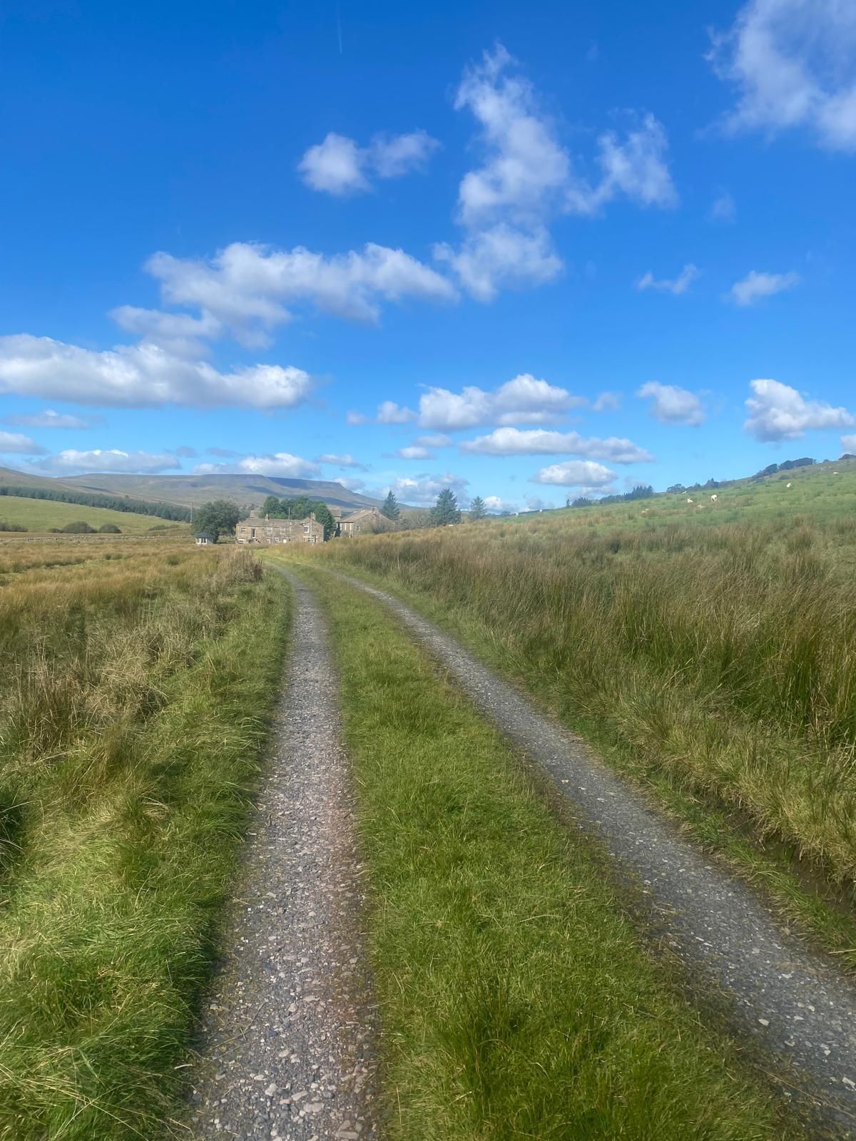 Blades Cottage track