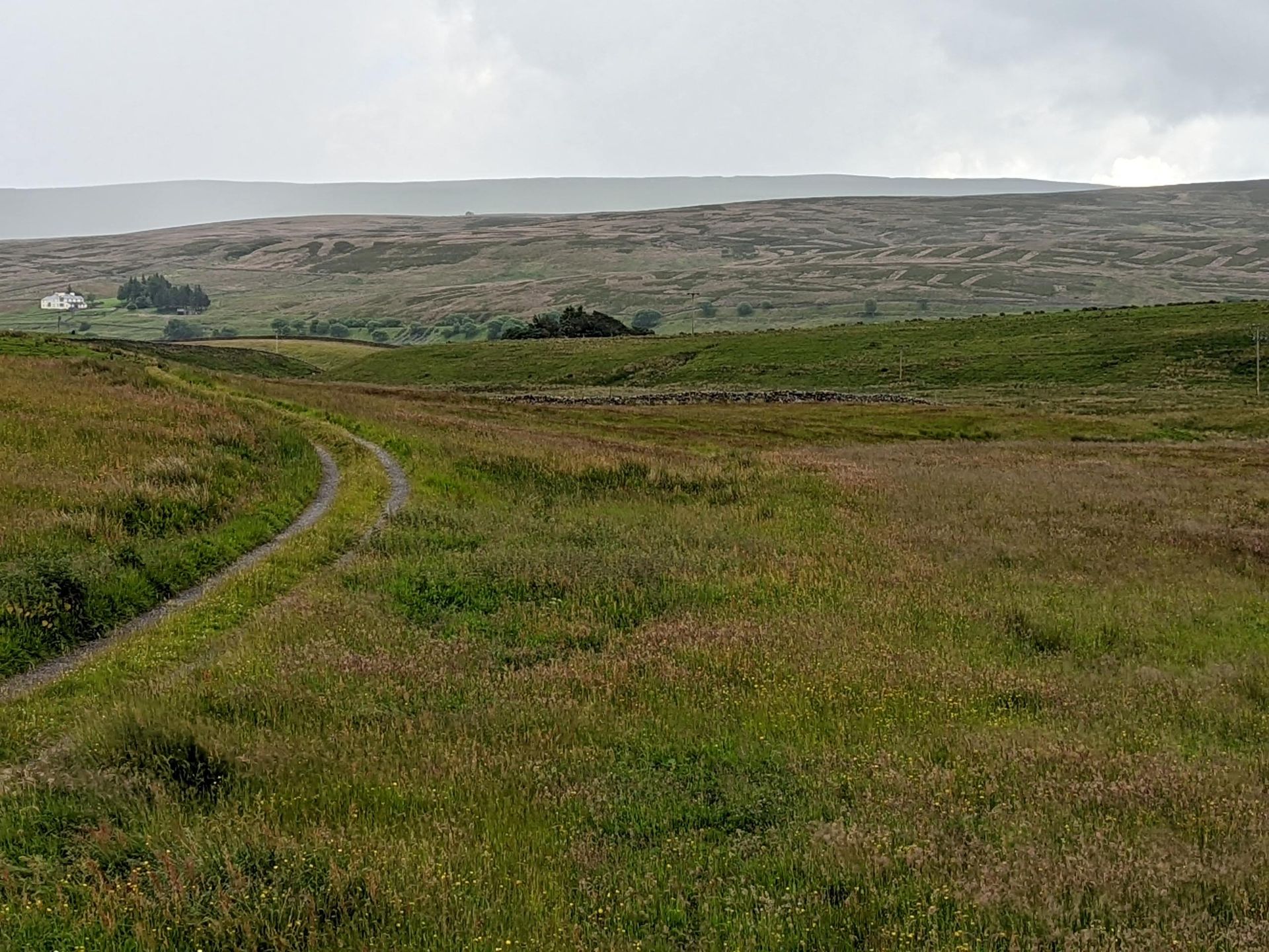 Blades Cottage Track