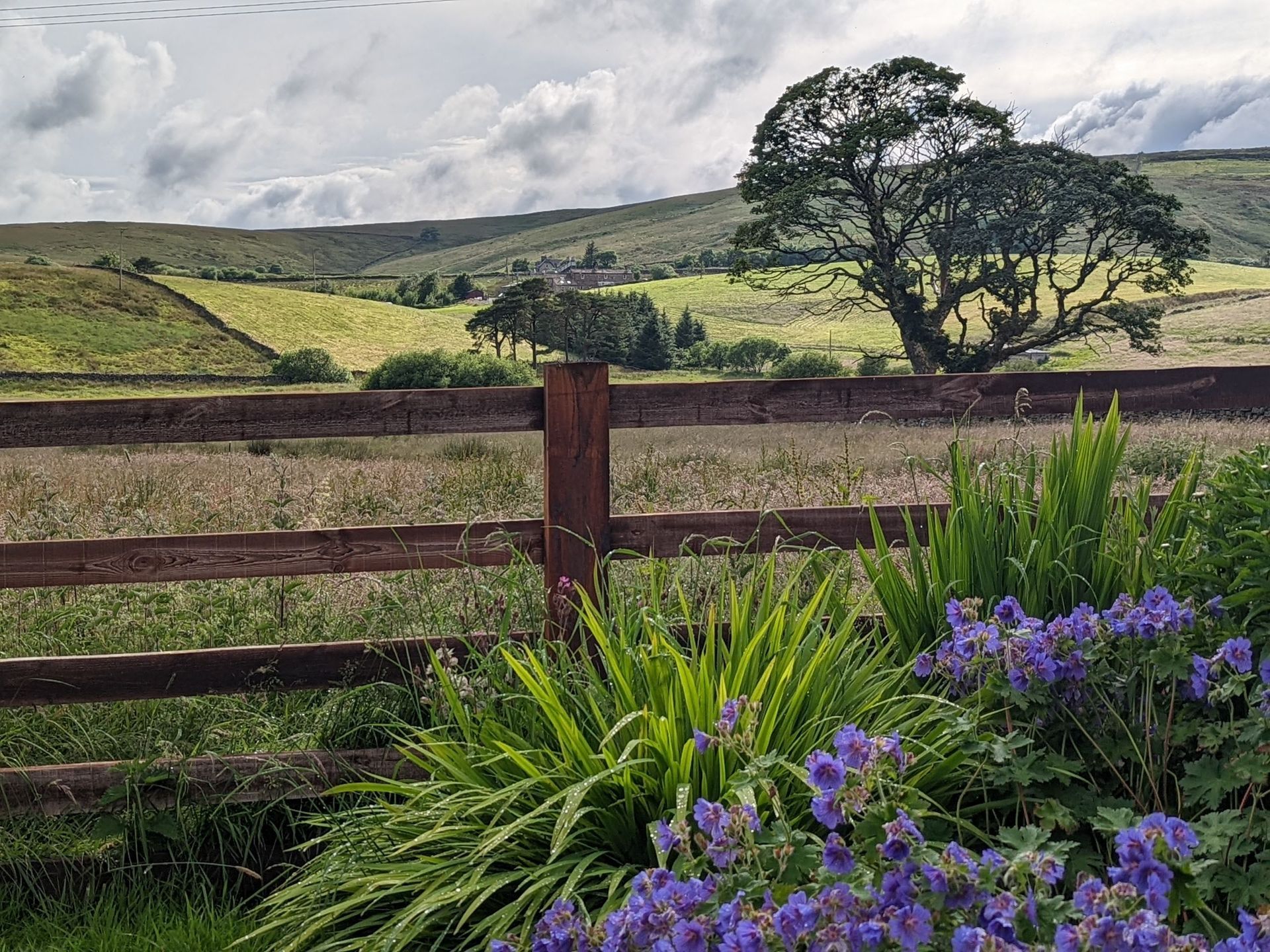 View garden from Blades Cottage