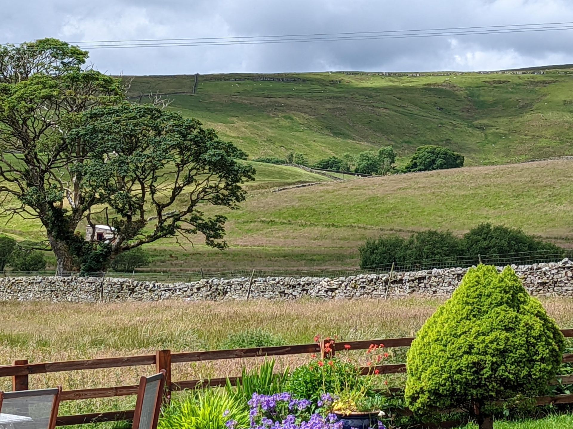 Blades Cottage Garden view