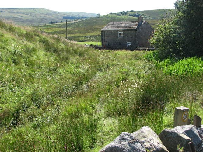 Blades Cottage rear view