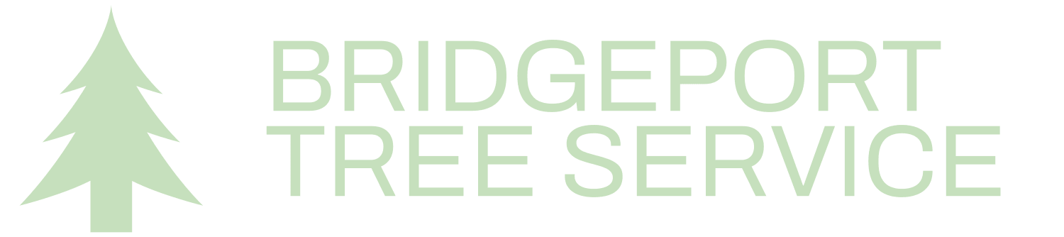 Bridgeport tree service logo with transparent background.  