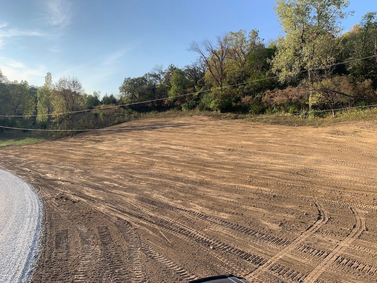 Dirt clearing with tire tracks, paved edge, and treeline under a blue sky.