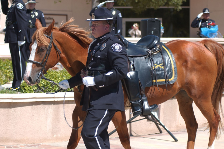 A police officer in uniform leads a brown horse with a saddle. Other officers stand nearby.