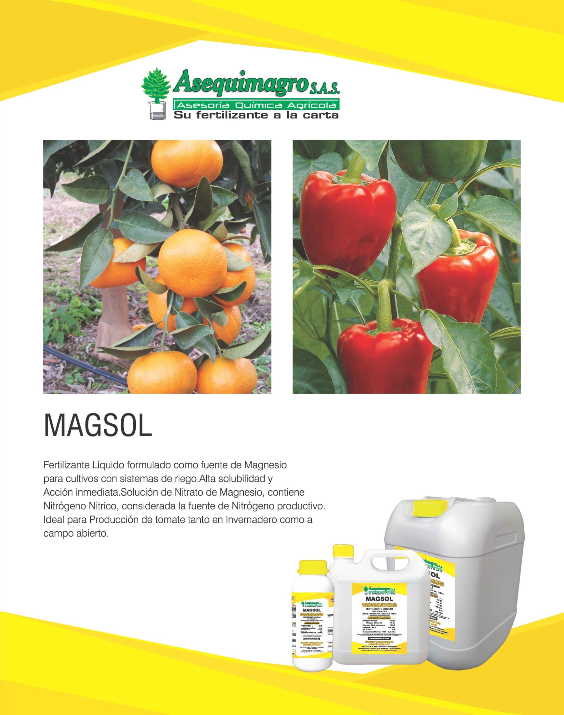 magsol