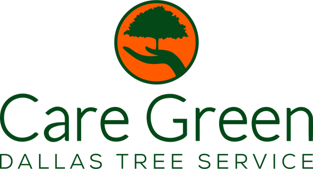 best affordable tree service