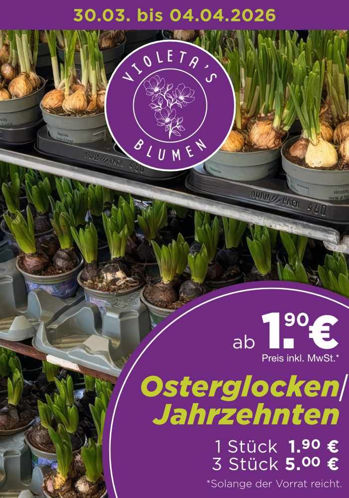 Werbung für Topfpflanzen bei 