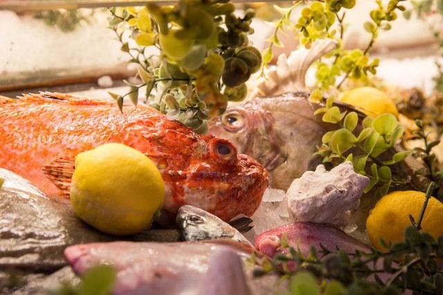 Un primo piano di un pesce circondato da limoni e piante.