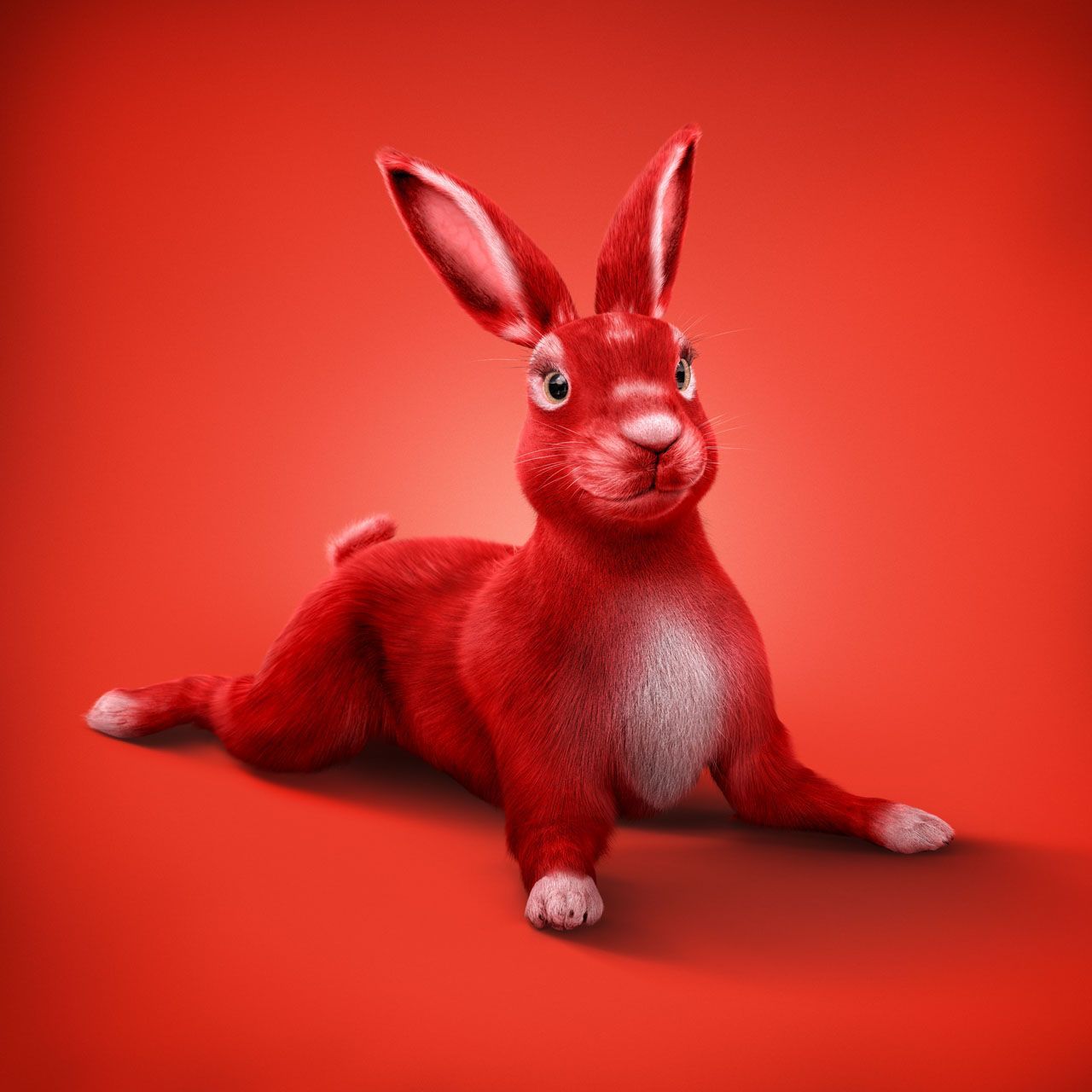 tobias winkler,postproduction,bildbearbeitung,retouching,haas 4