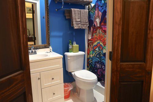 A bathroom with a toilet , sink , mirror and shower curtain.