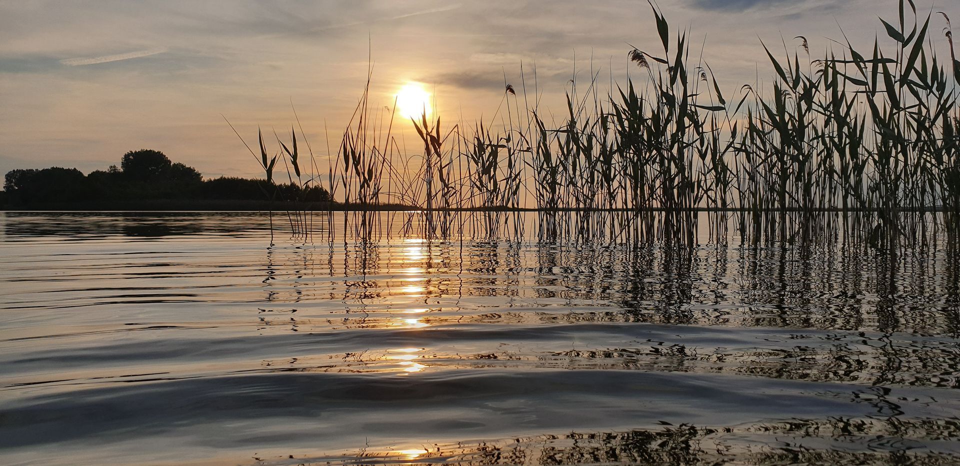 A sunset over a lake with tall grass in the foreground