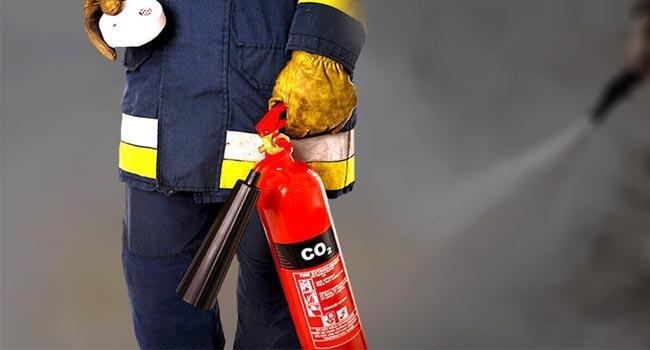 GRUPO SHUN - CHAQUETÓN