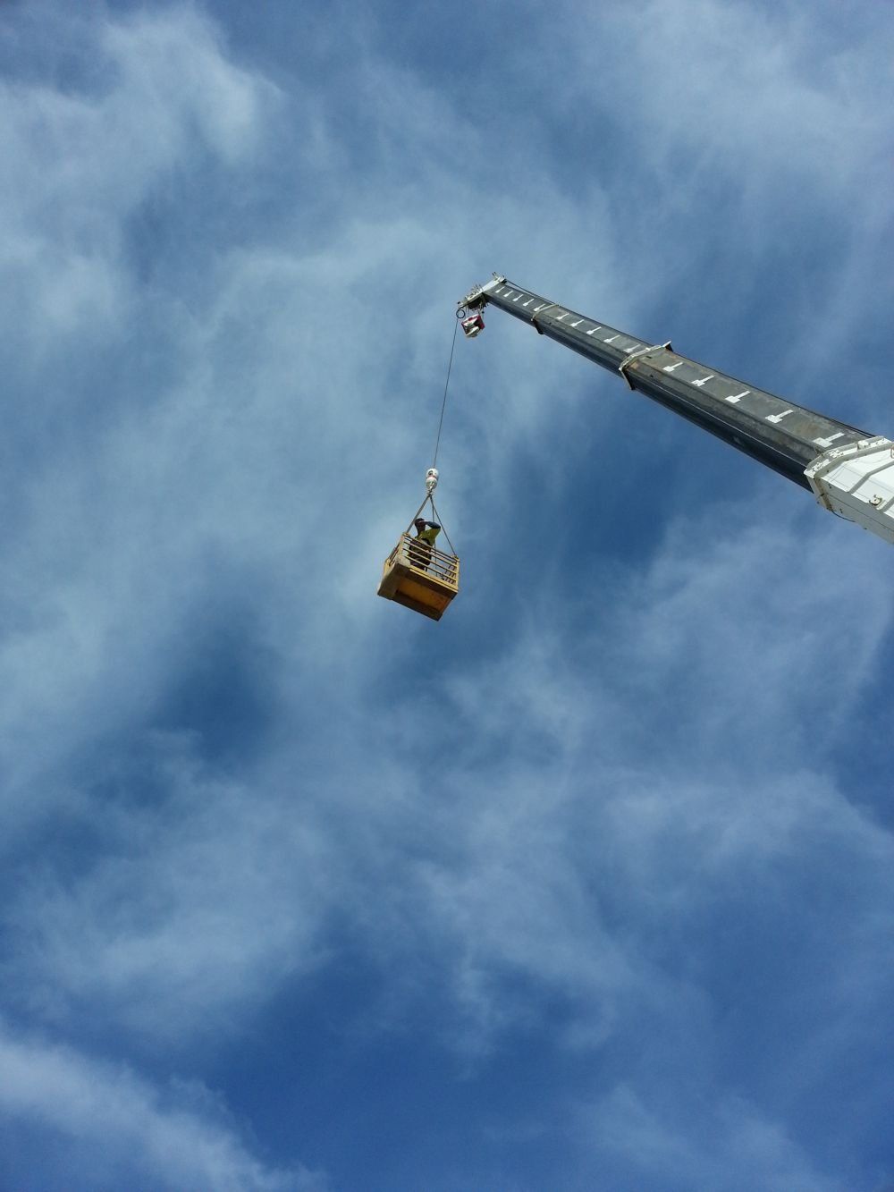 Morgans Crane Hire Adelaide Dog Box Crane Work