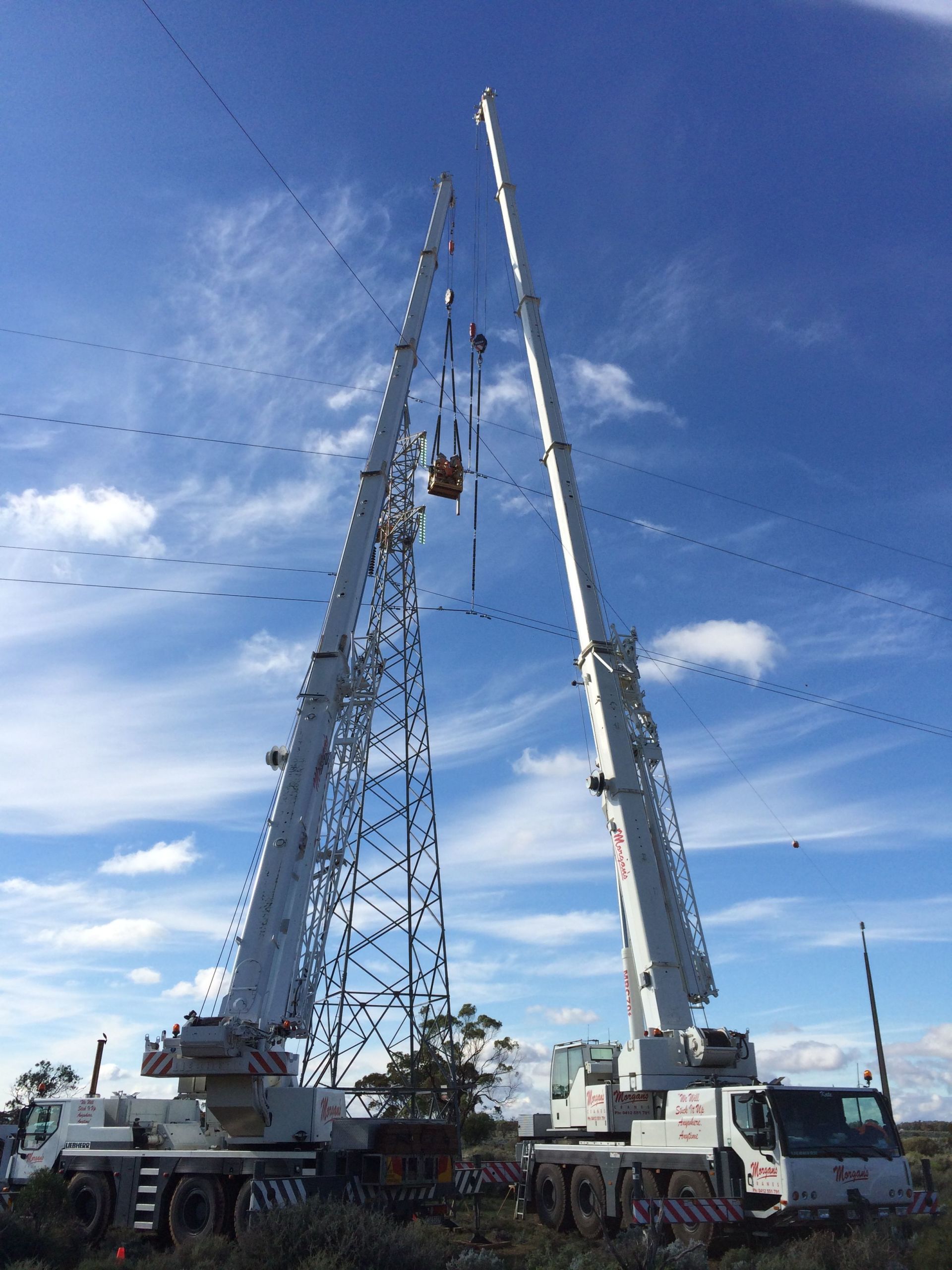 Morgans Crane Hire Adelaide 55T and 70T Cranes SA Power networks sapn enerven riverland Morgan SA
