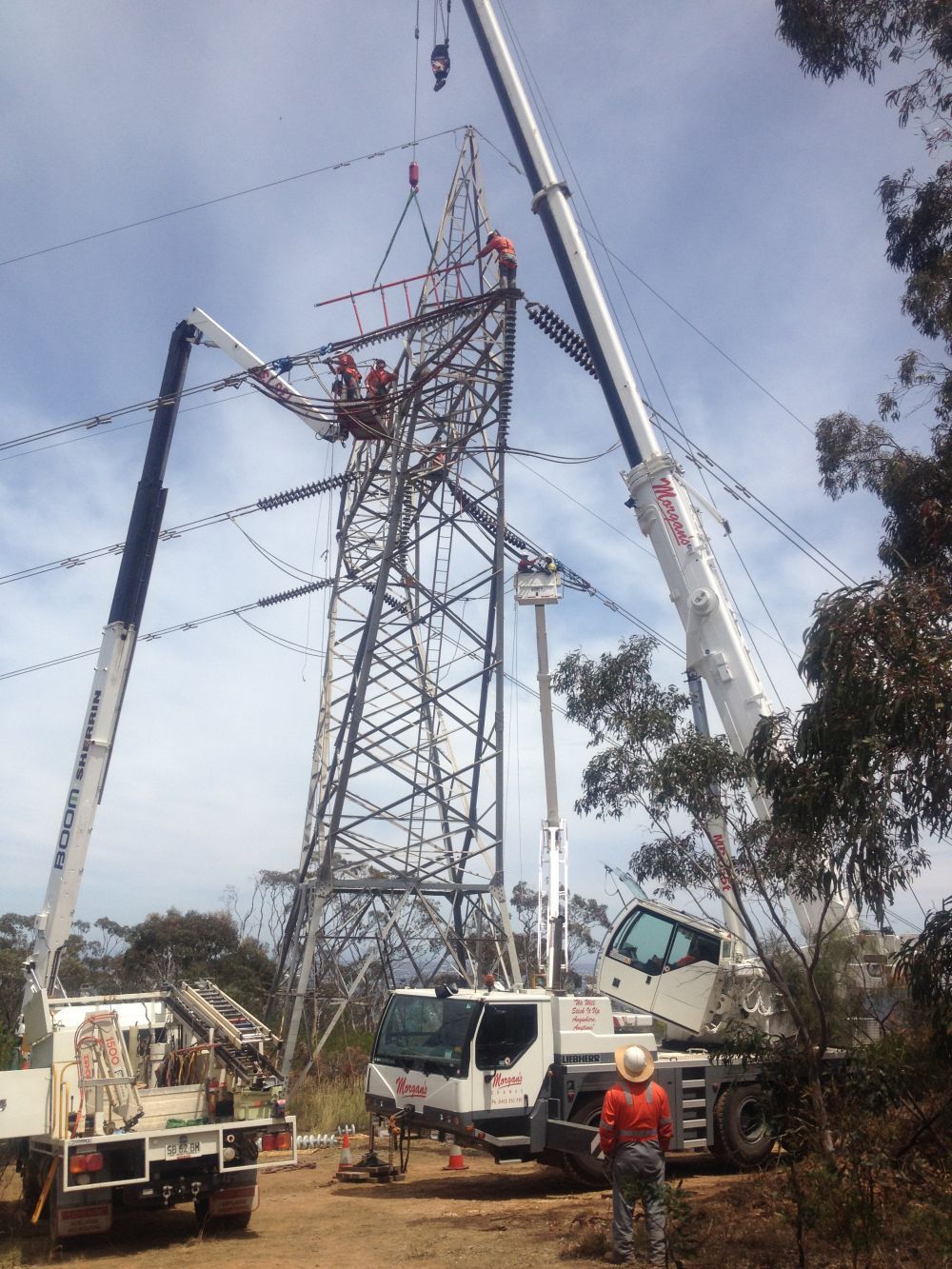 Adelaide Crane Hire Morgans Cranes 55T Liebherr All Terrain Crane  High Voltage Towers