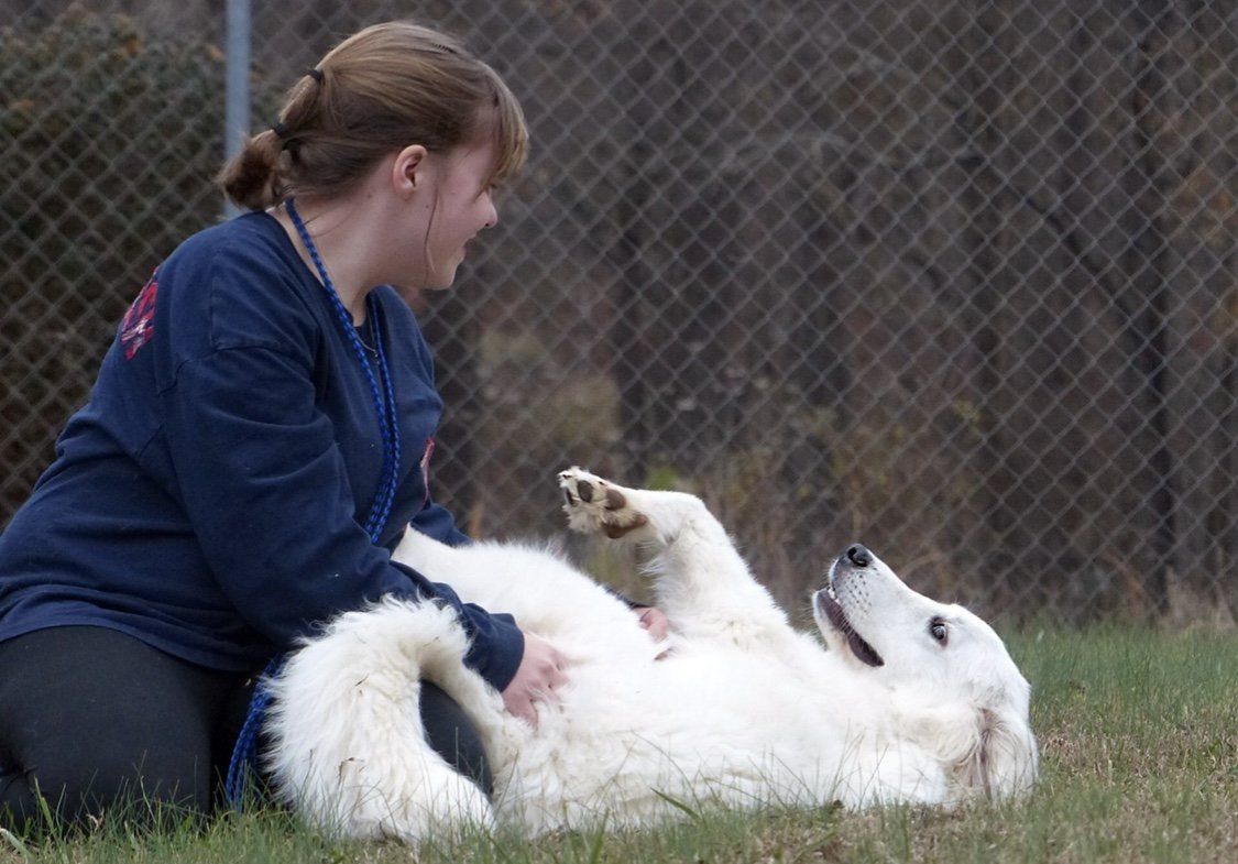 Contact Us Waxhaw, NC Top Honors Pet Care Center