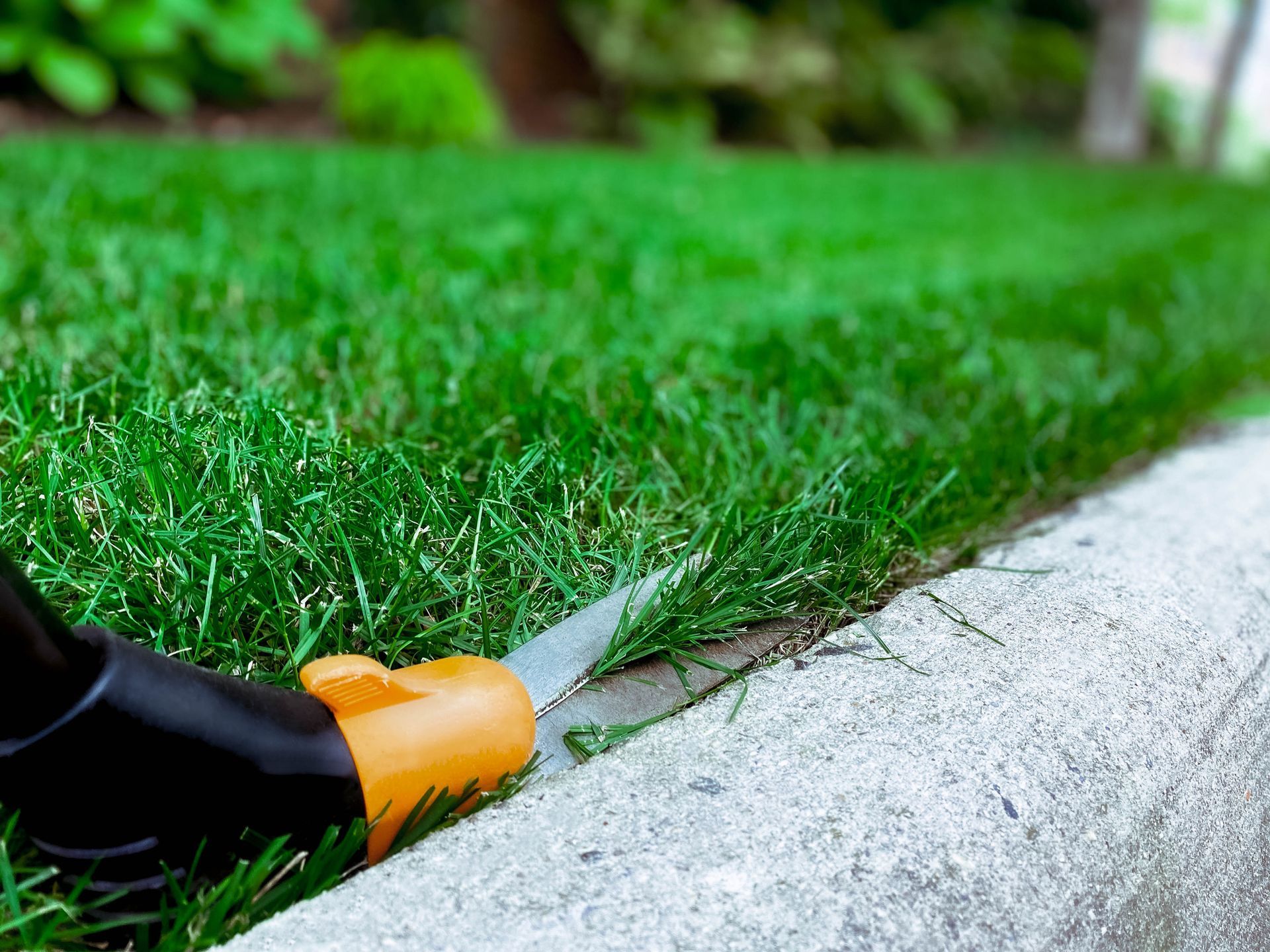 A close-up of grass shears cutting the edge of a lawn next to a curb