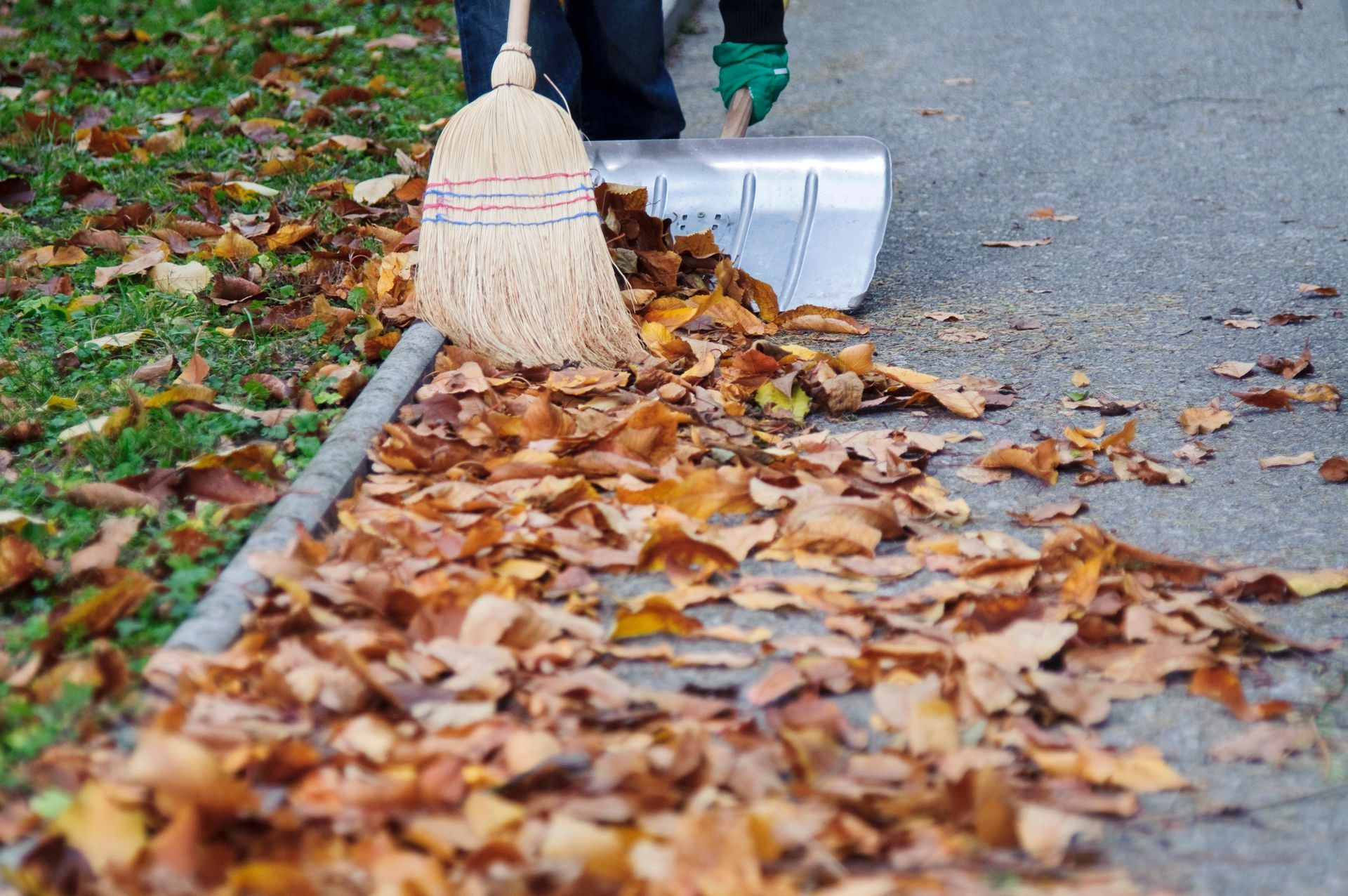 Spring and Fall Cleanup - Orion, IL - C & J Landscaping