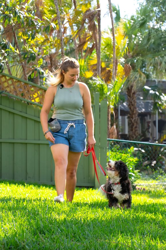 small dogs training