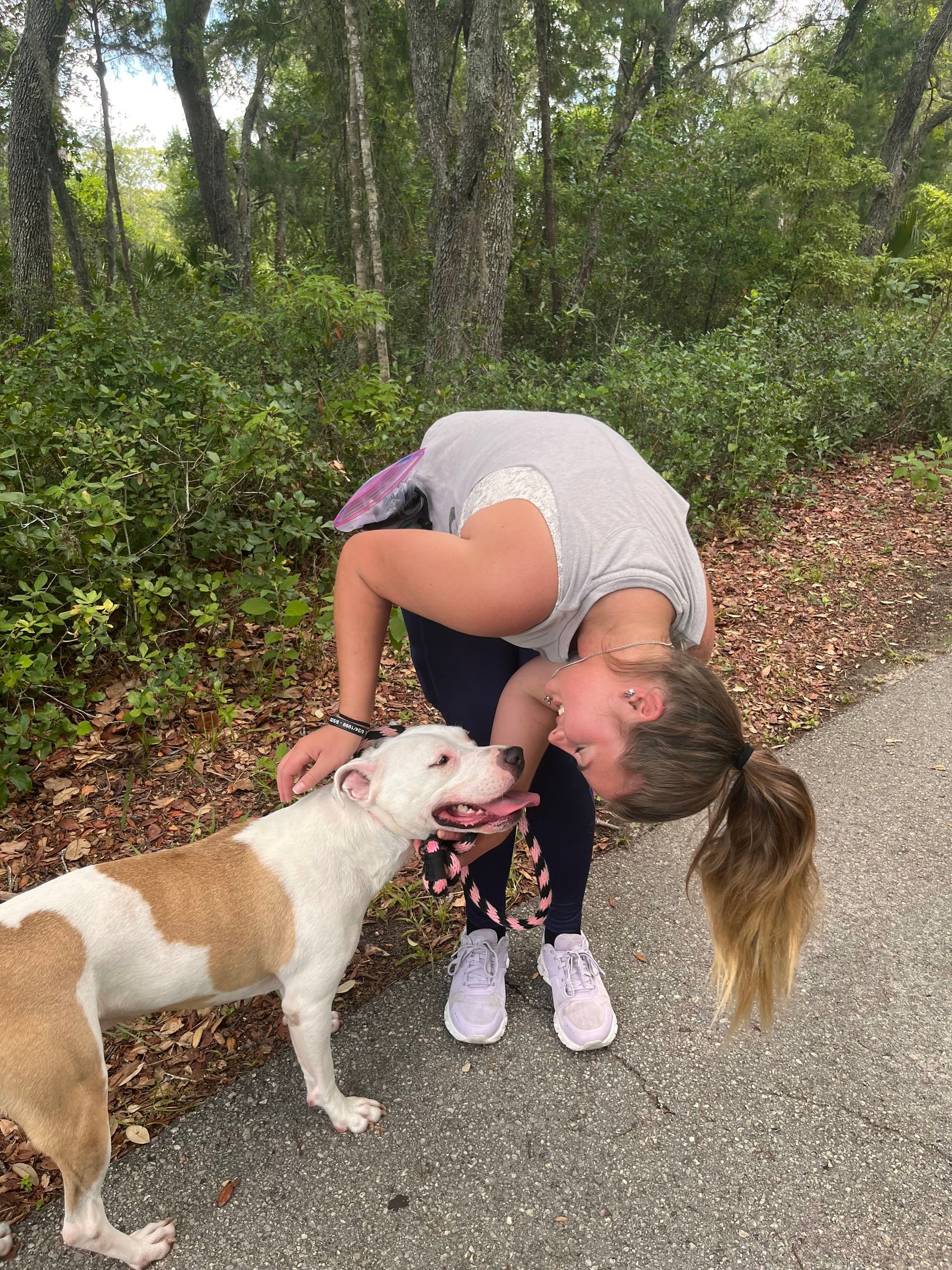 pitbulls