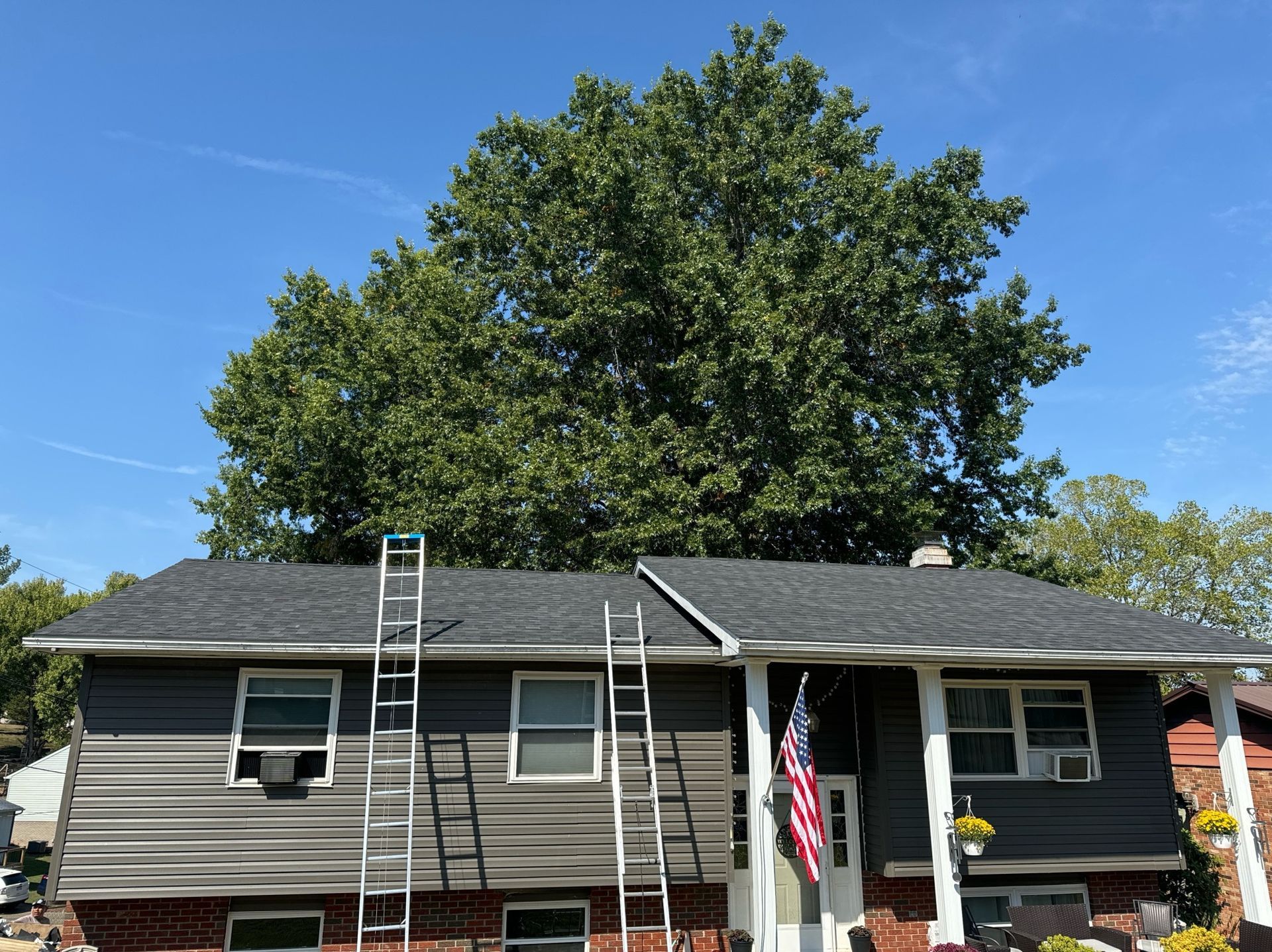 A house with a ladder on the roof and a tree in the background.