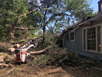 Emergency Tree Removal Service Jackson Mississippi