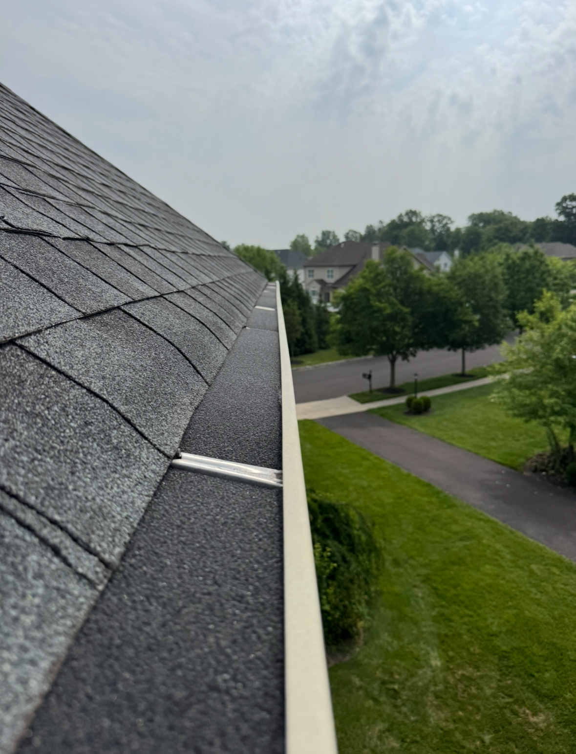 gutter cleaning