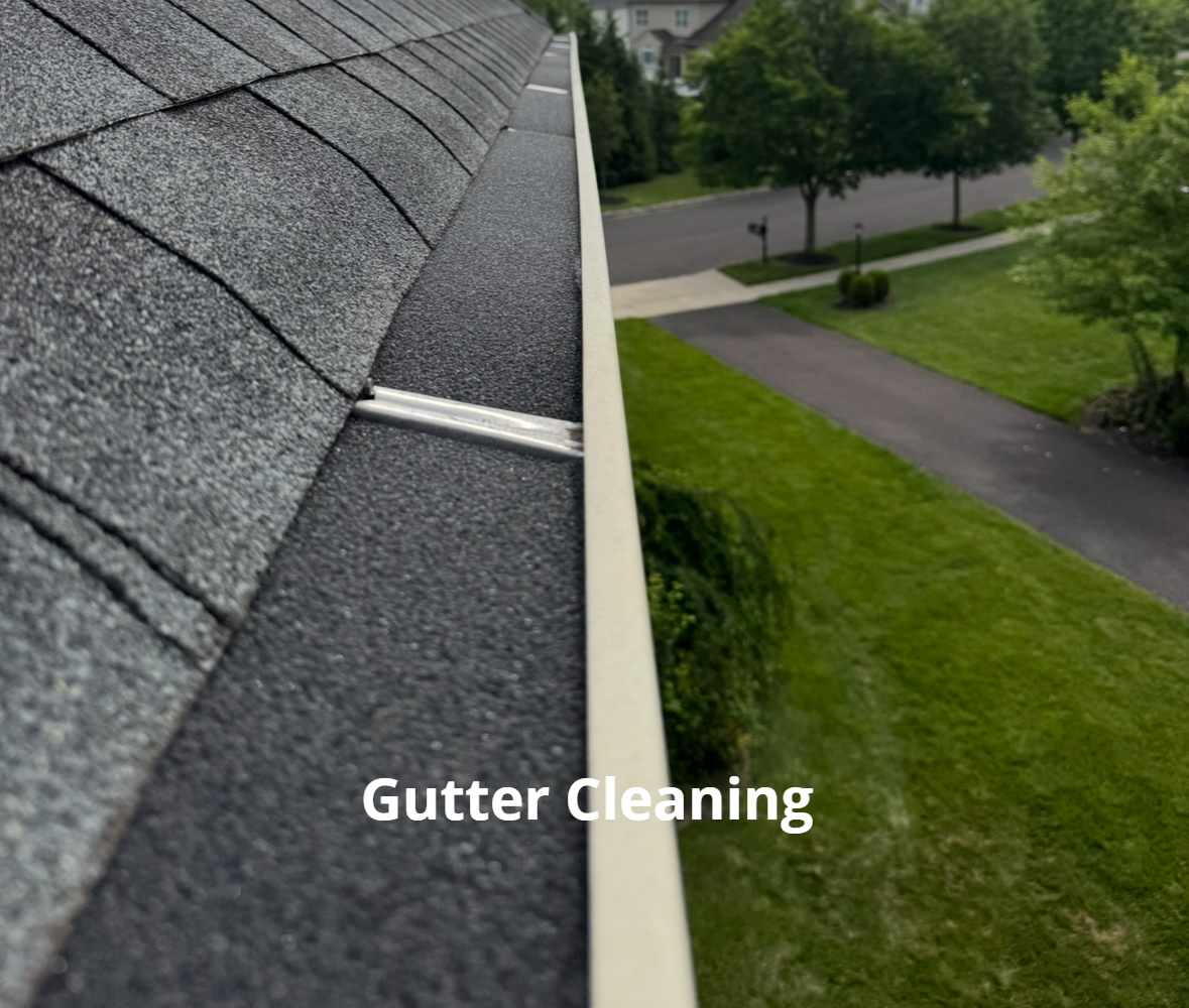 gutter cleaning