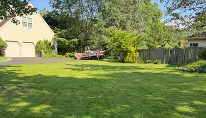 Lawn Mowing