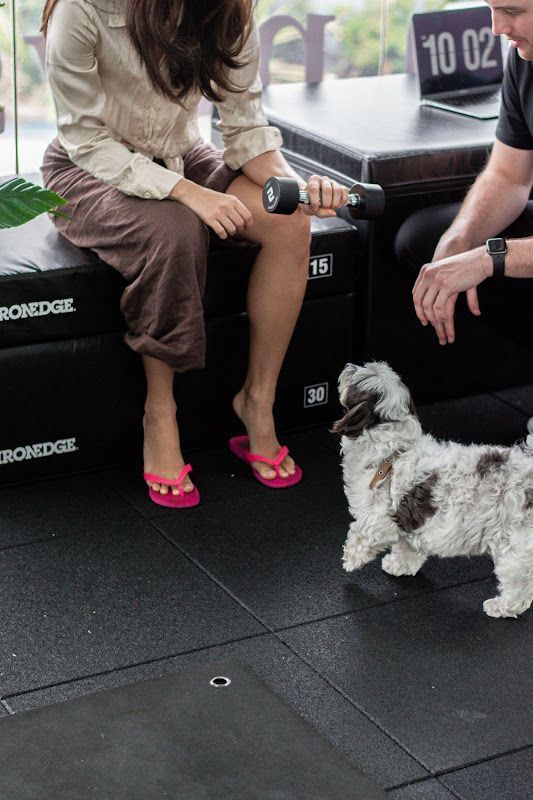 A woman is sitting on a bench next to a man and a dog.