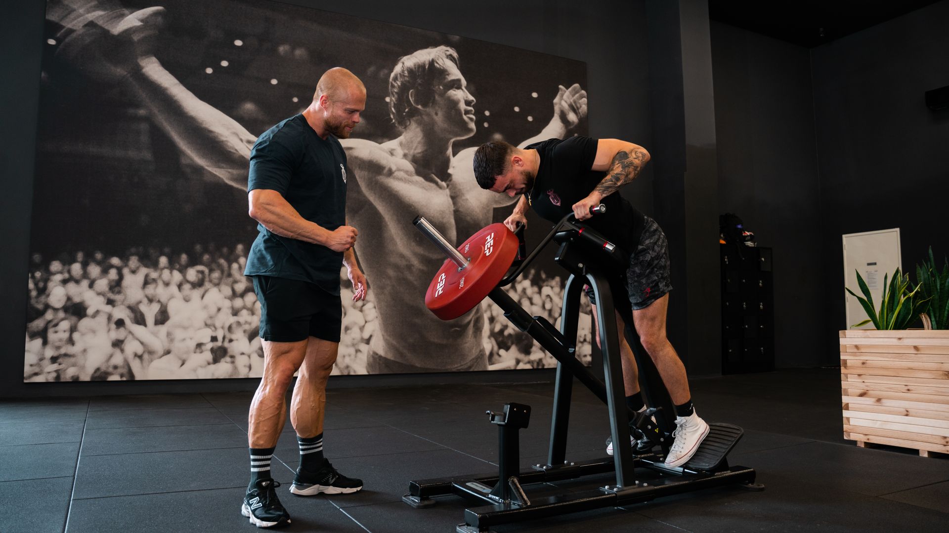 Twee vrouwen poseren op matten in een zonnige yogastudio; ze draaien allebei hun torso.