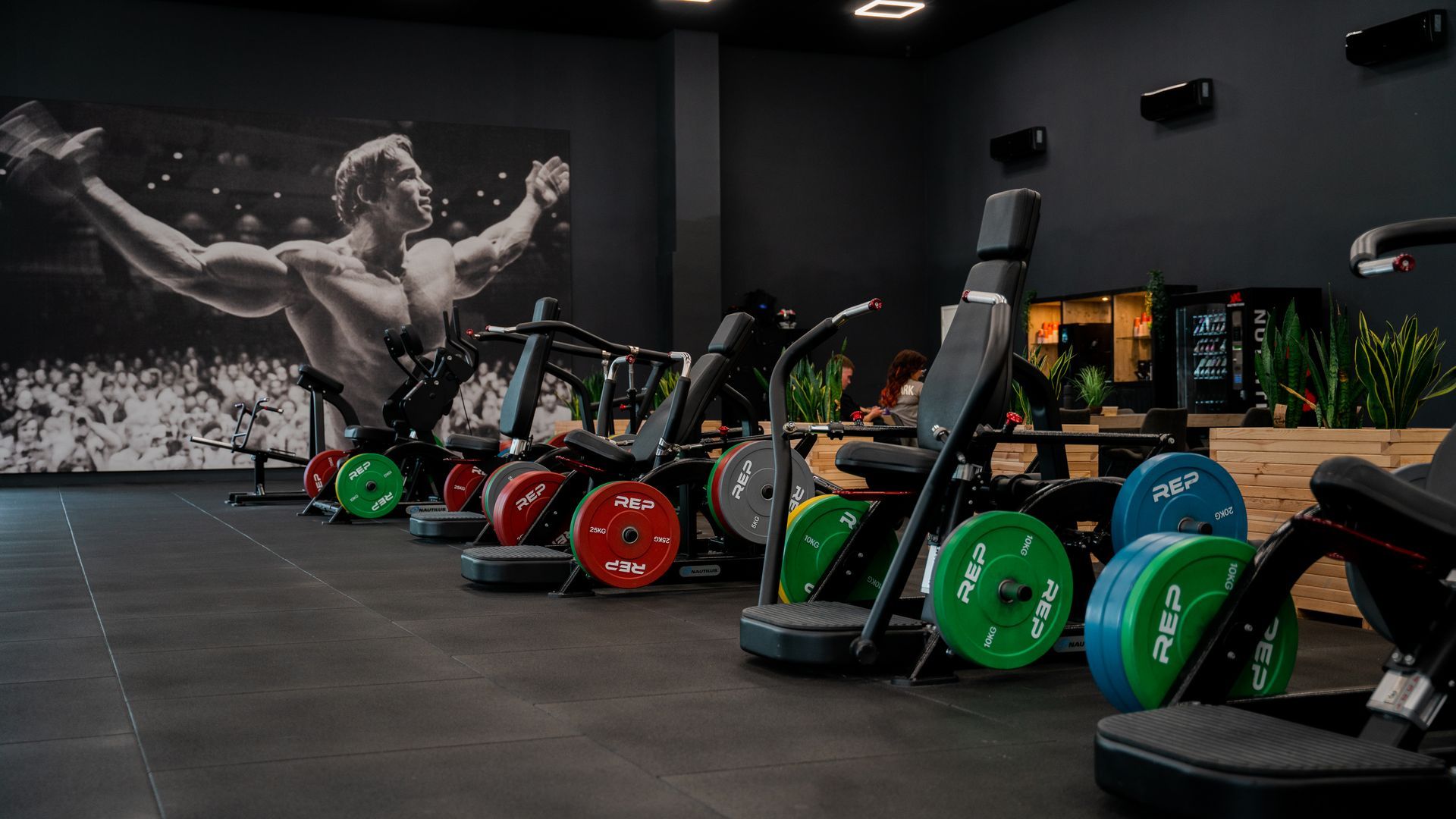 Vrouwen in sportkleding voeren een oefening uit met vier poten op roze matten in een sportschool.