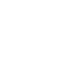 IREM-Logo