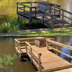 Split-view showing a weathered wooden dock before and after cleaning and restoration, situated on a pond.