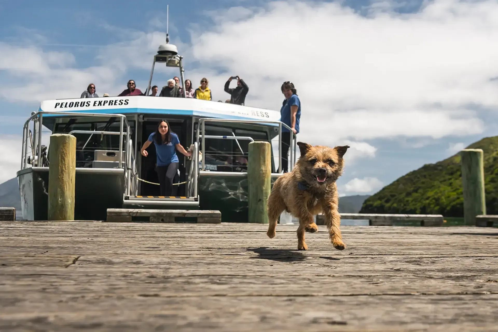 Getting here - ways to get to the Pelorus Sounds in Marlborough, New Zealand